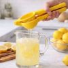 Lemon Squeezer