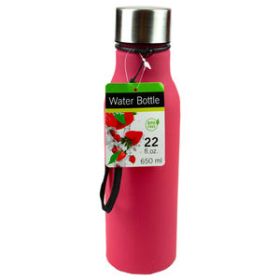 22 oz. Solid Color Water Bottle